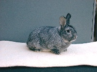 foto: Reginald Deyaert
