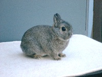 foto: Reginald Deyaert
