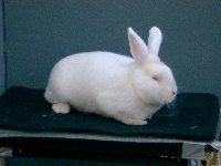 foto: Reginald Deyaert
